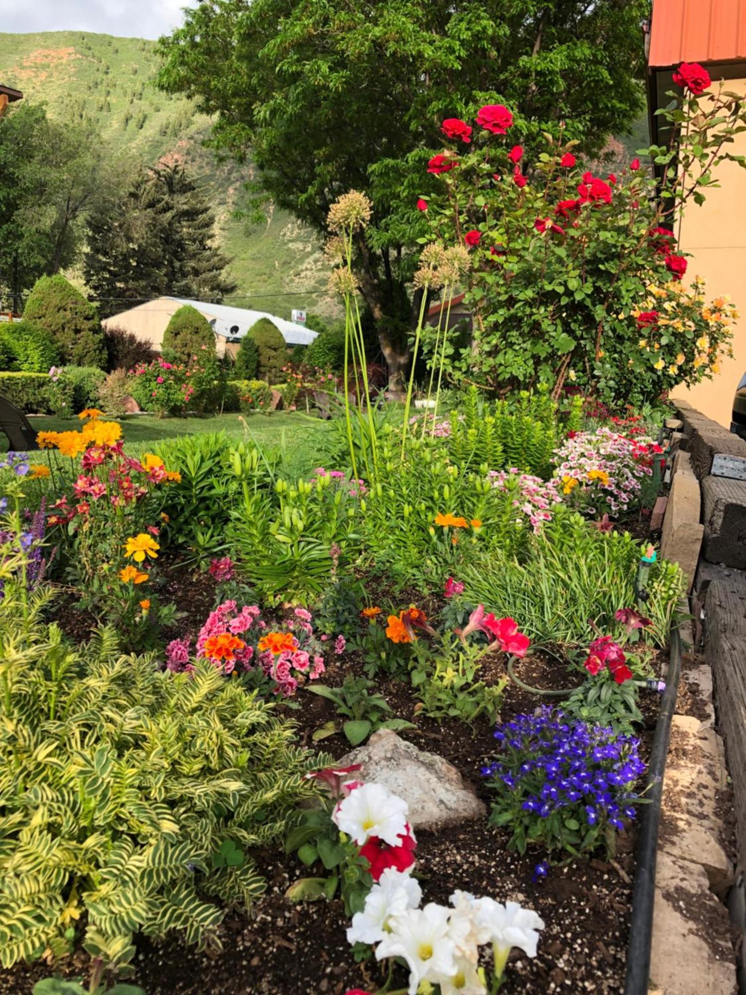 Glenwood Springs Cedar Lodge מראה חיצוני תמונה